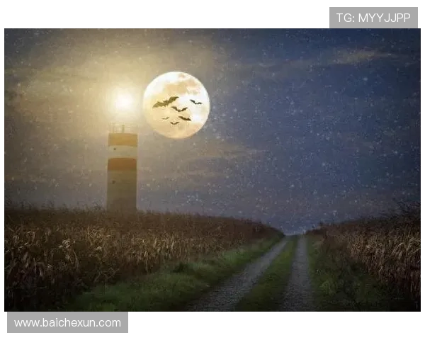 天堂的阶梯：攀登心灵的巅峰，抵达梦想的彼岸